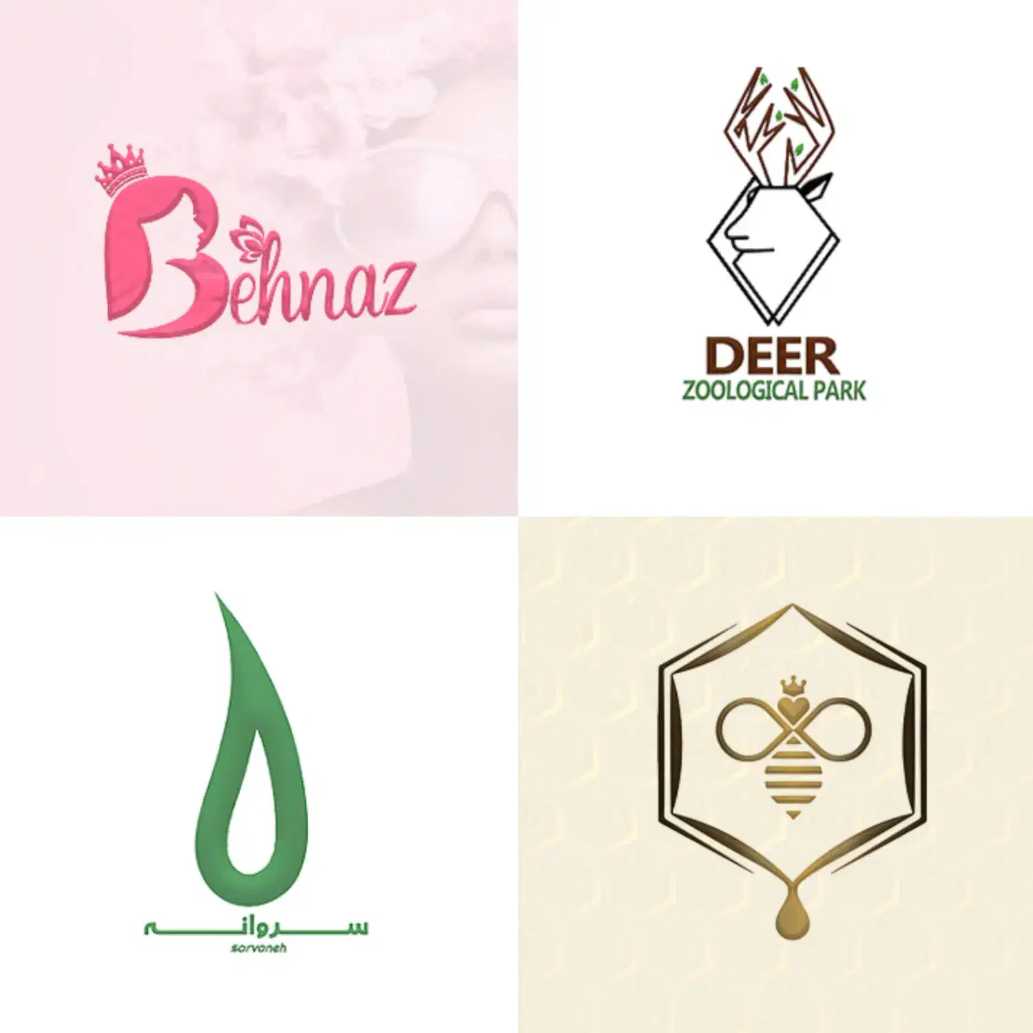 طراحی تخصصی لوگو (خانم اندربای)|خدمات رایانه‌ای و موبایل|دزفول, |دیوار