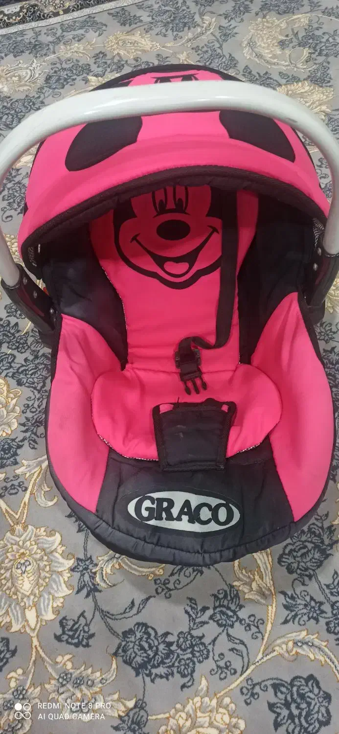 کریرصورتی|کالسکه و لوازم جانبی|ایذه, |دیوار