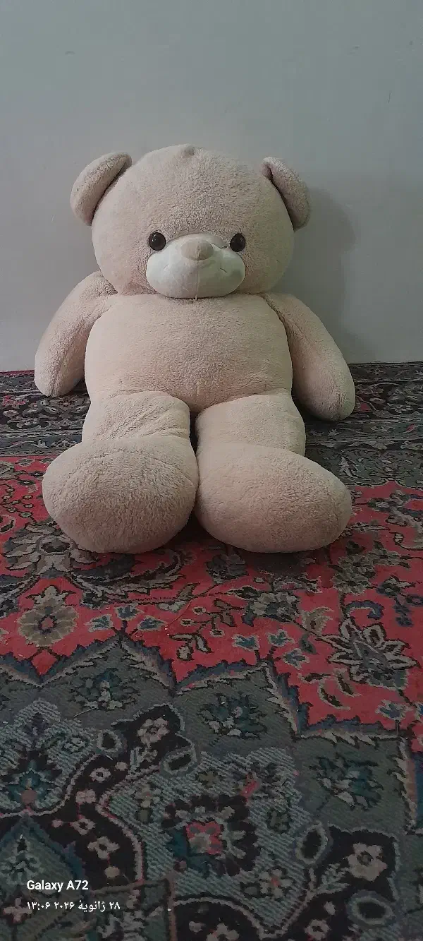 خرس بزرگ|اسباببازی بچه|مشهد, خواجه ربیع|دیوار