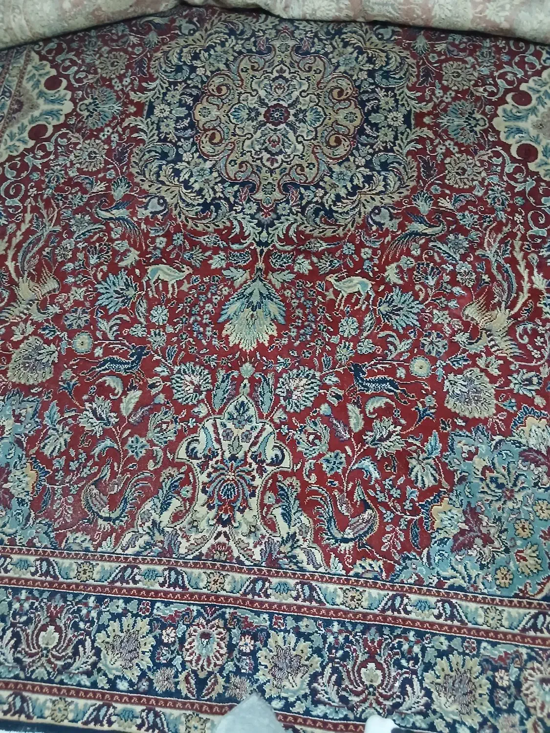 فرش ۹ متری|فرش|رشت, دیانتی|دیوار