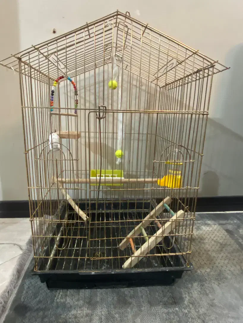 قفس بزرگ|لوازم جانبی حیوانات|اصفهان, ملکشهر|دیوار