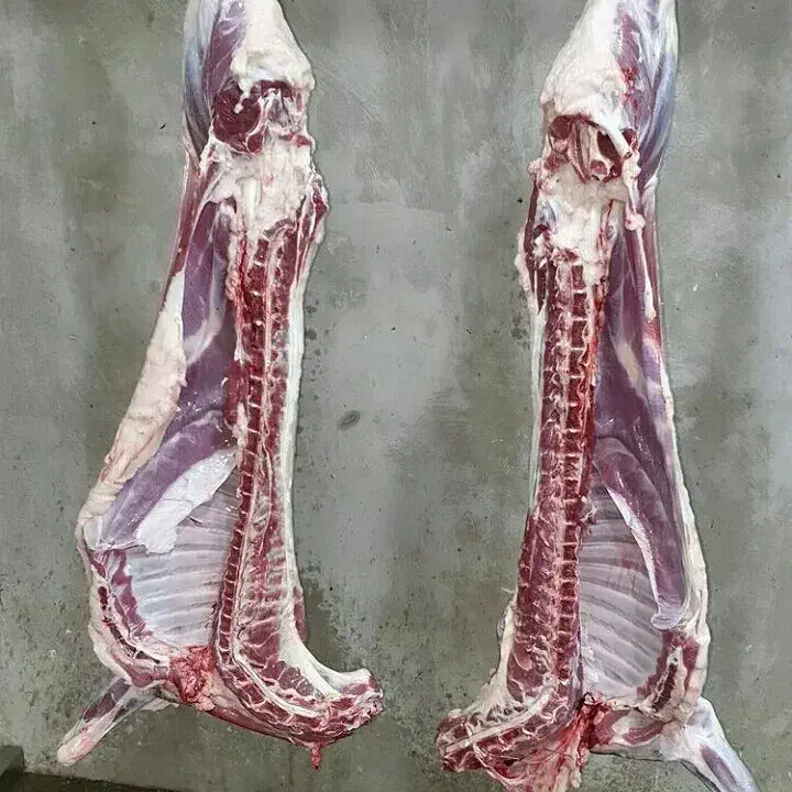 قصاب سیار گاو گوسفند|خدمات پذیرایی، مراسم|ارومیه, |دیوار