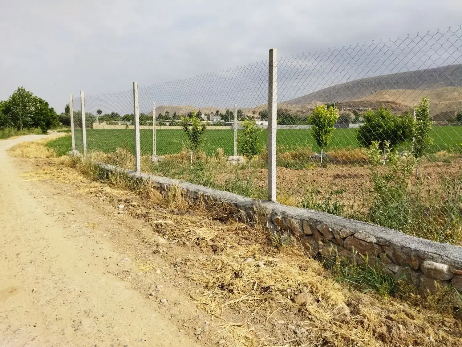 باغ فروشی|فروش زمین و ملک کلنگی|گرمخان, |دیوار