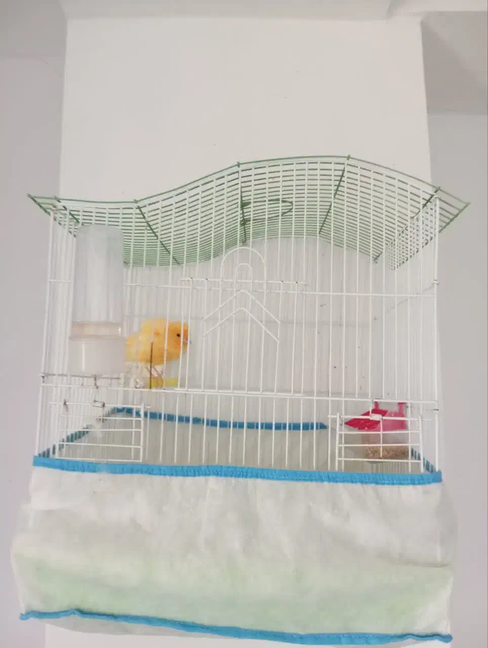 قفس پرنده|لوازم جانبی حیوانات|ملایر, |دیوار