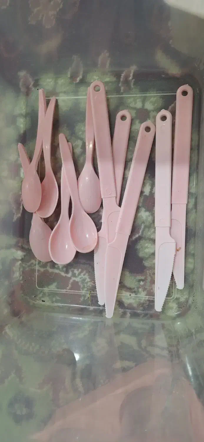 ظرف استفاده نشده با کمترین قیمت|ظروف نگهدارنده، پلاستیکی، یک‌بارمصرف|دوگنبدان, |دیوار