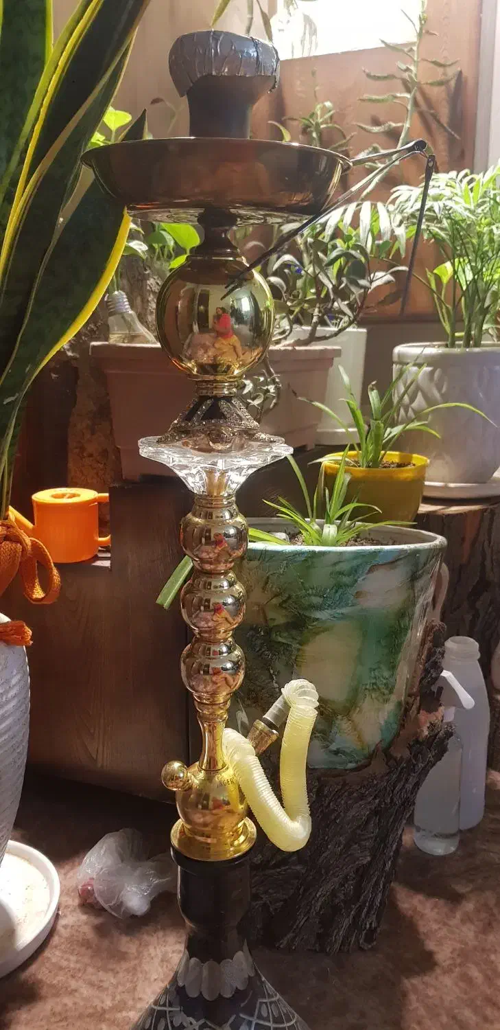 قلیان|زیورآلات و اکسسوری|تهران, عبدلآباد|دیوار