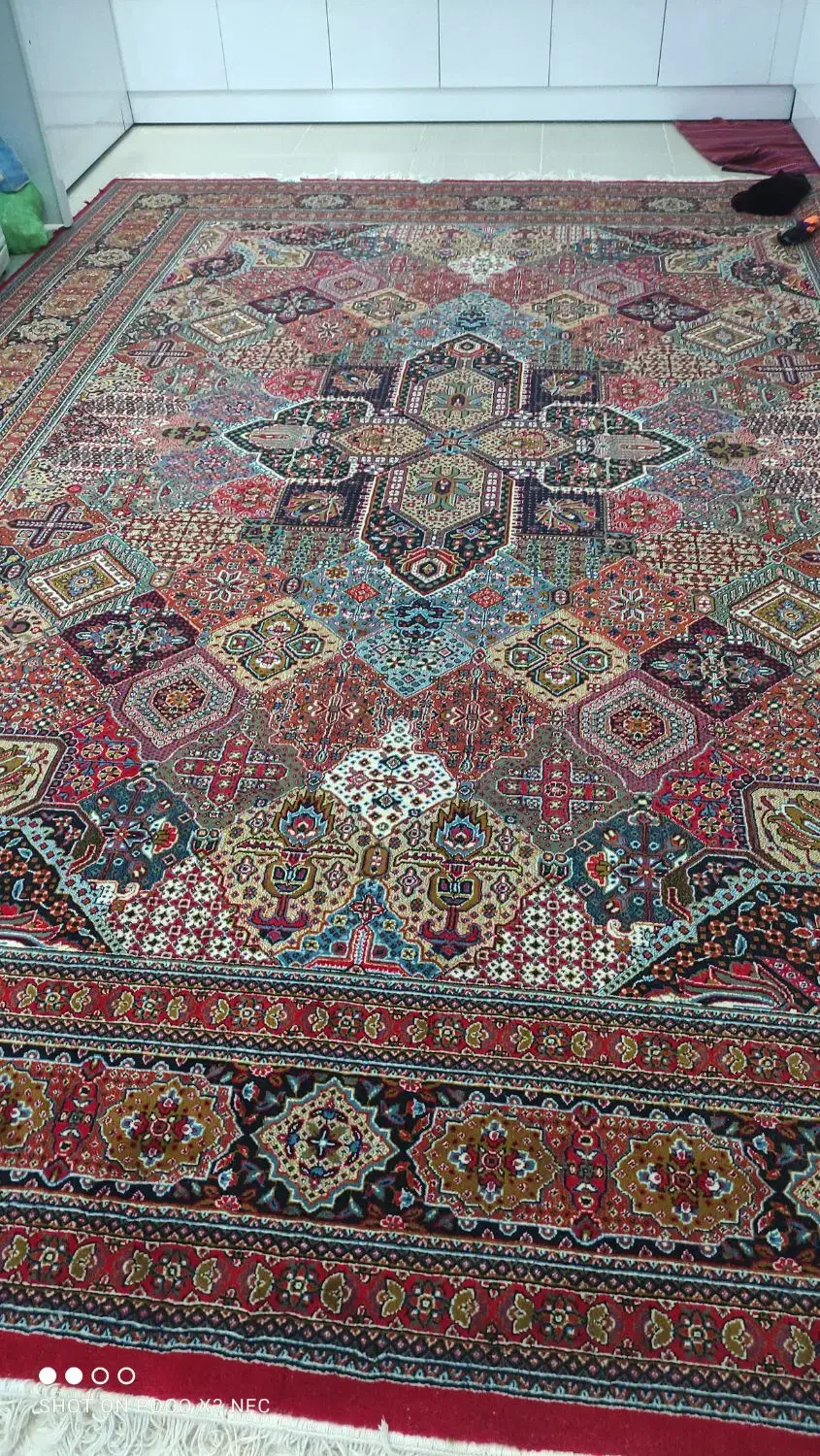 فرش سالم|فرش|جوانرود, |دیوار