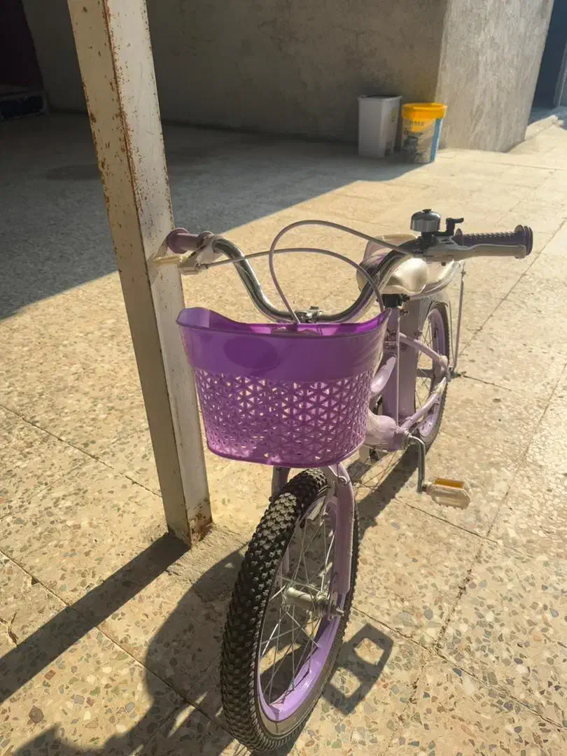 دوچرخه دخترانه نو|دوچرخه، اسکیت، اسکوتر|ریگ, |دیوار