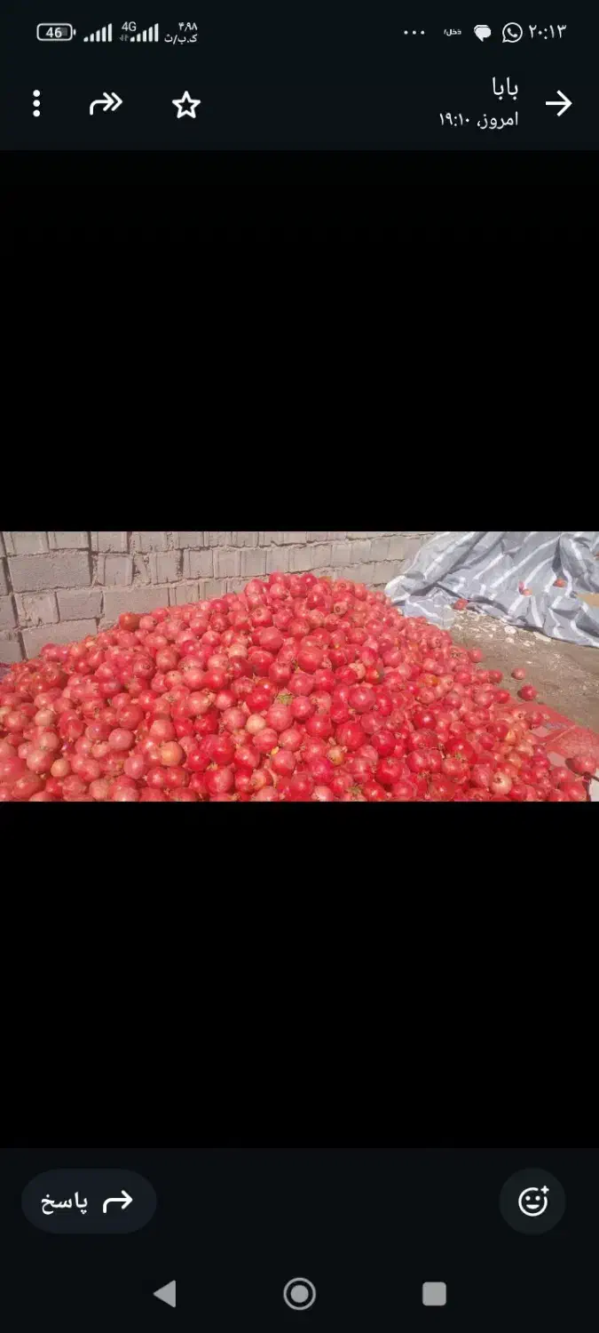 فروش انار|عمدهفروشی|بختگان, |دیوار