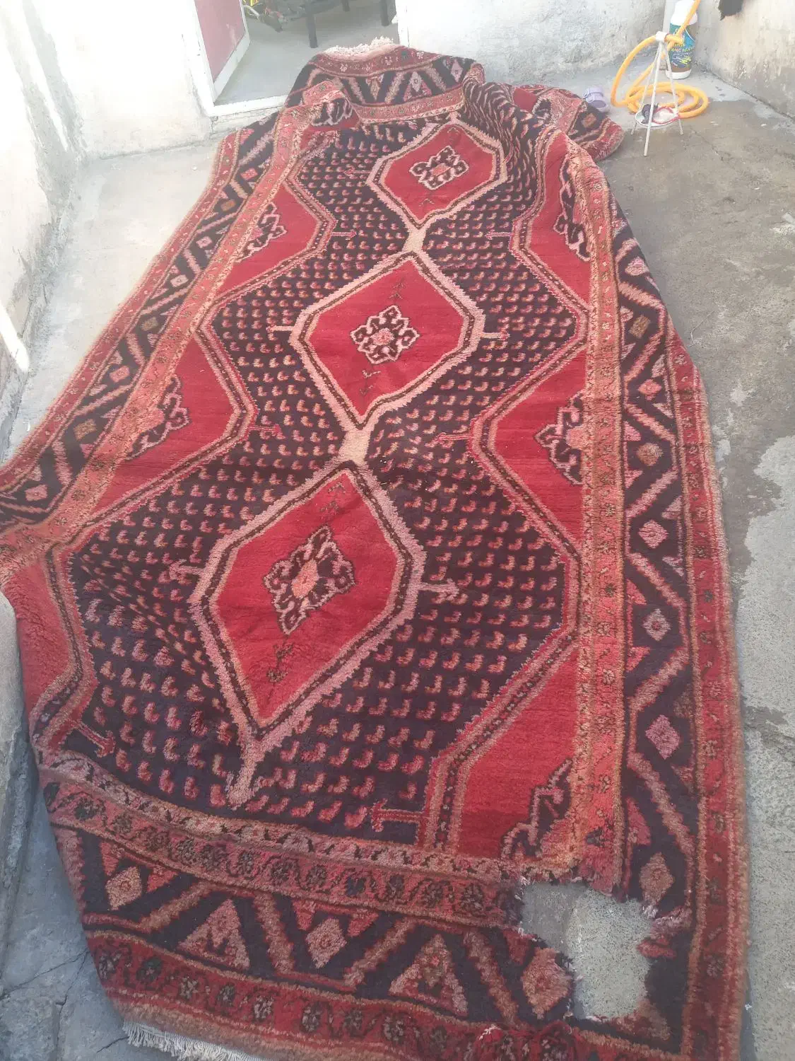 فرش قدیمی|فرش|صحنه, |دیوار