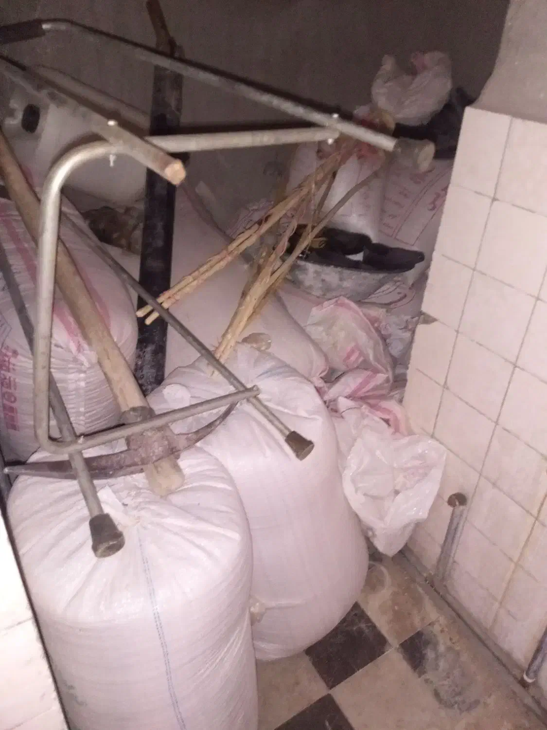 600کیلو(جیوه)برای کاشت بذر|خدمات باغبانی و درختکاری|گیلان غرب, |دیوار
