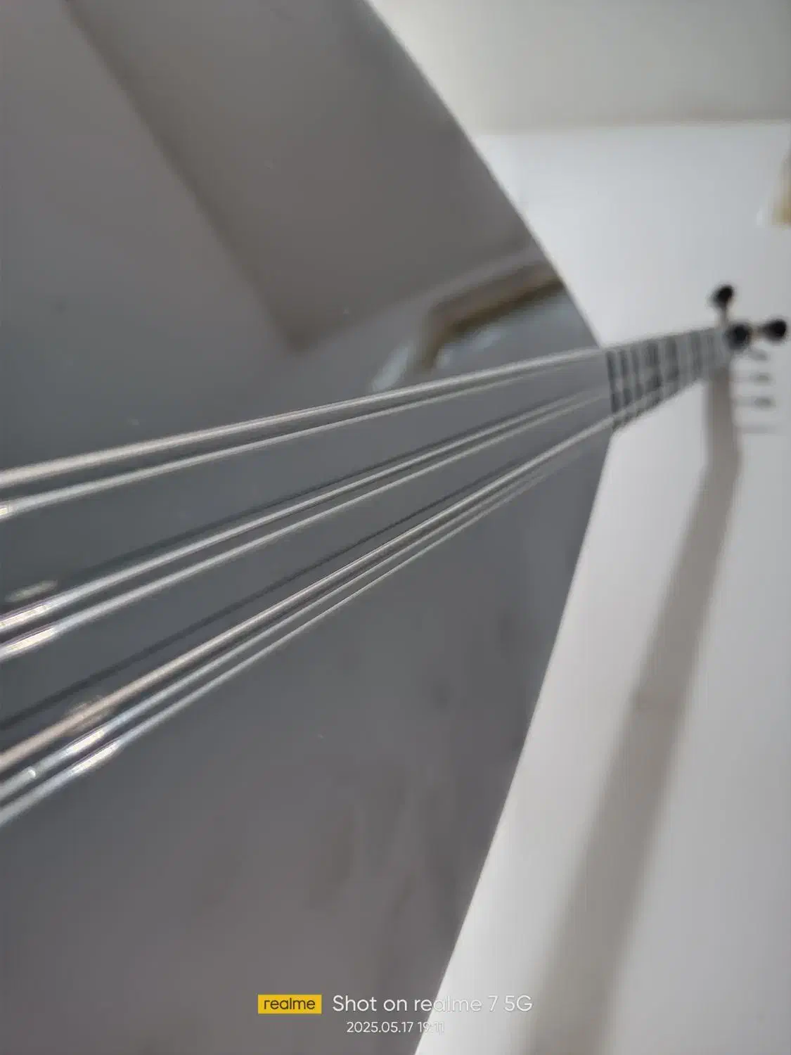 ساز دیوان حرفه‌ای|سازهای سنتی|سنندج, |دیوار