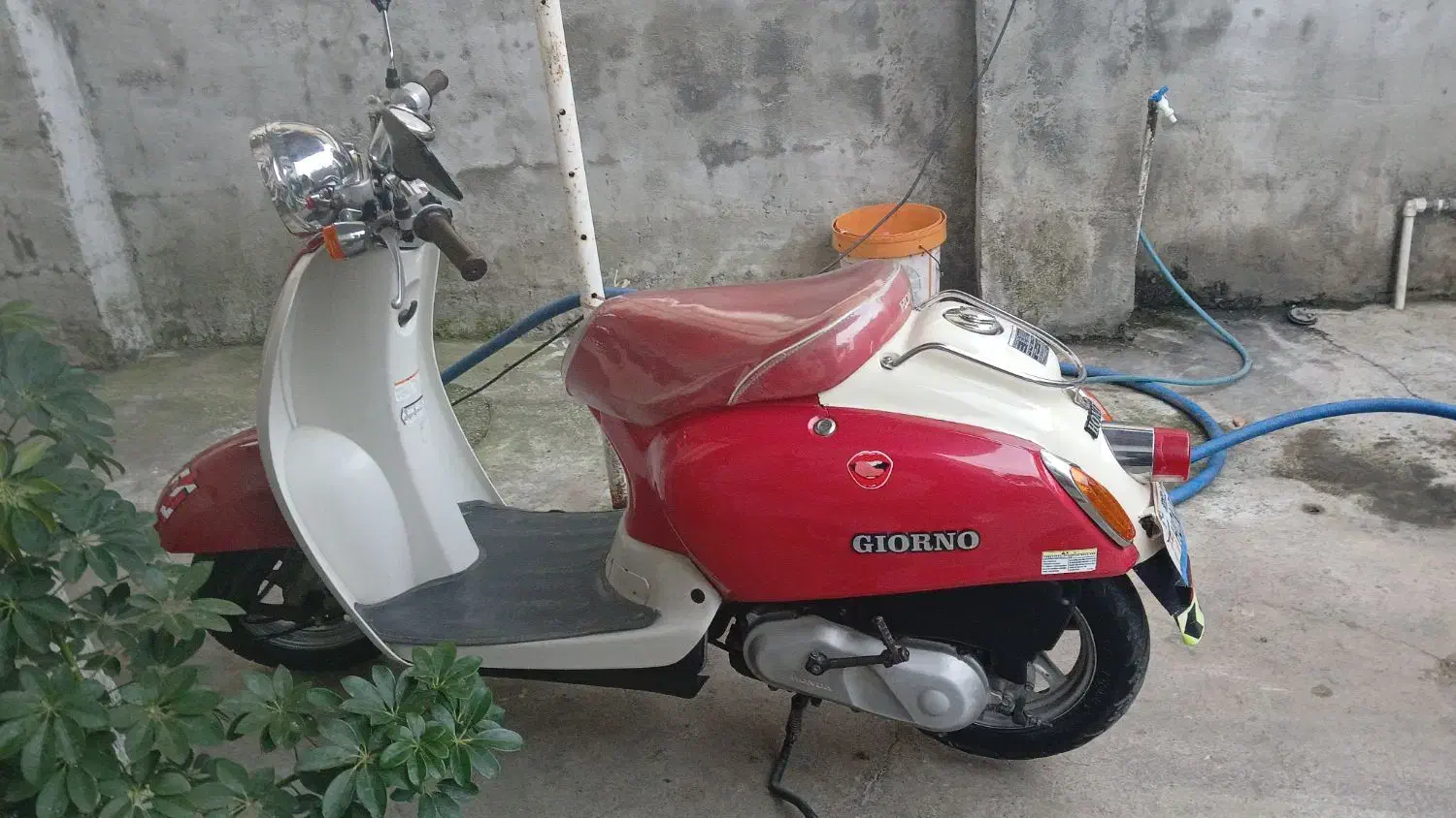 موتور پاکشتی|موتورسیکلت|تالش, هشتپر|دیوار