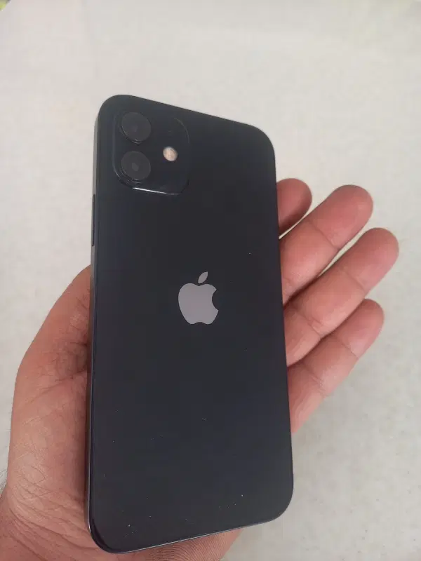Iphone 12 Normal|موبایل|شیراز, ملاصدرا|دیوار