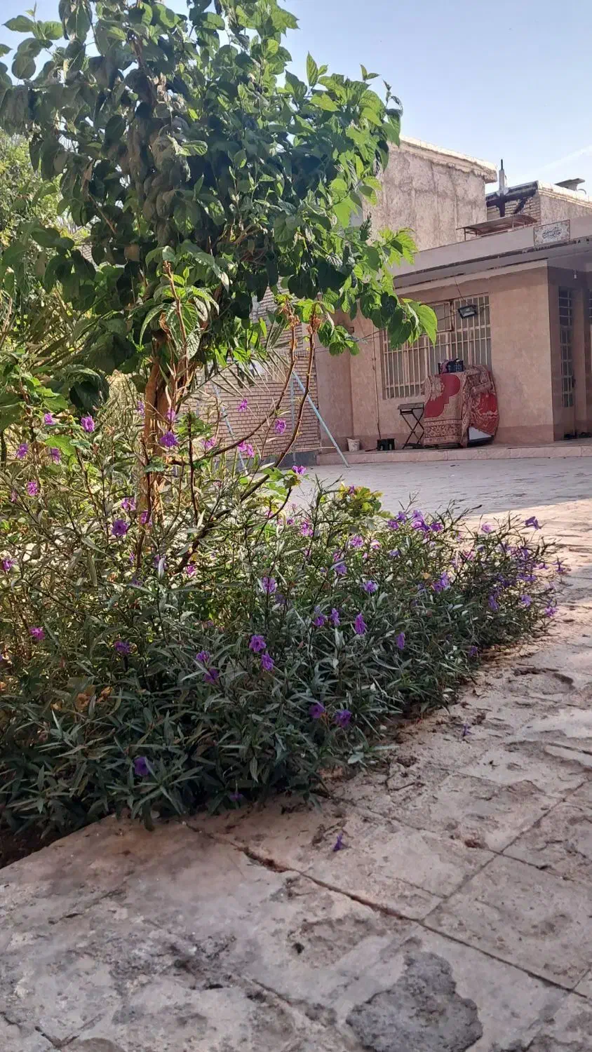 سوئیت روزانه.هفتگی پشت فرودگاه بین خرمشهر وابادان|اجارهٔ کوتاهمدت آپارتمان و سوئیت|خرمشهر, |دیوار