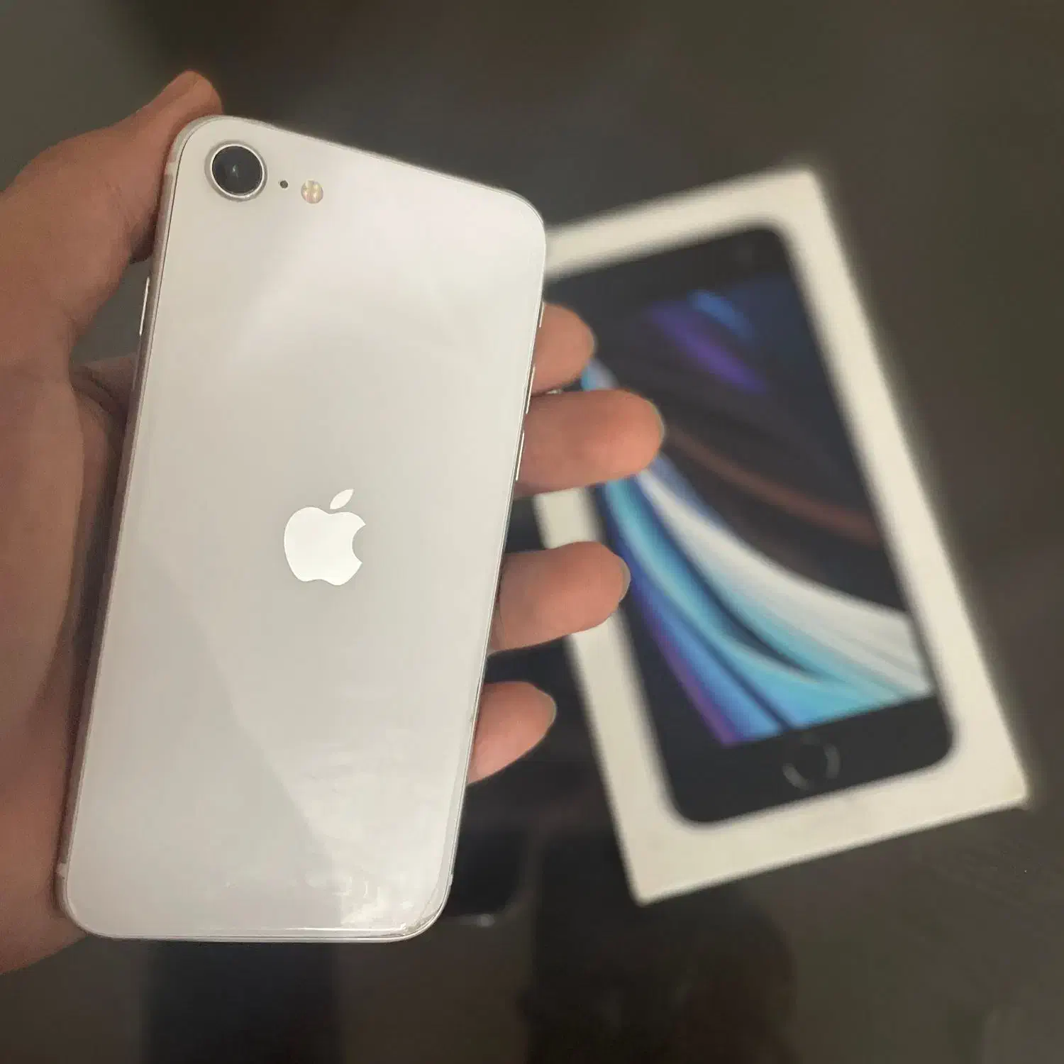iphone SE 2020|موبایل|چالوس, |دیوار