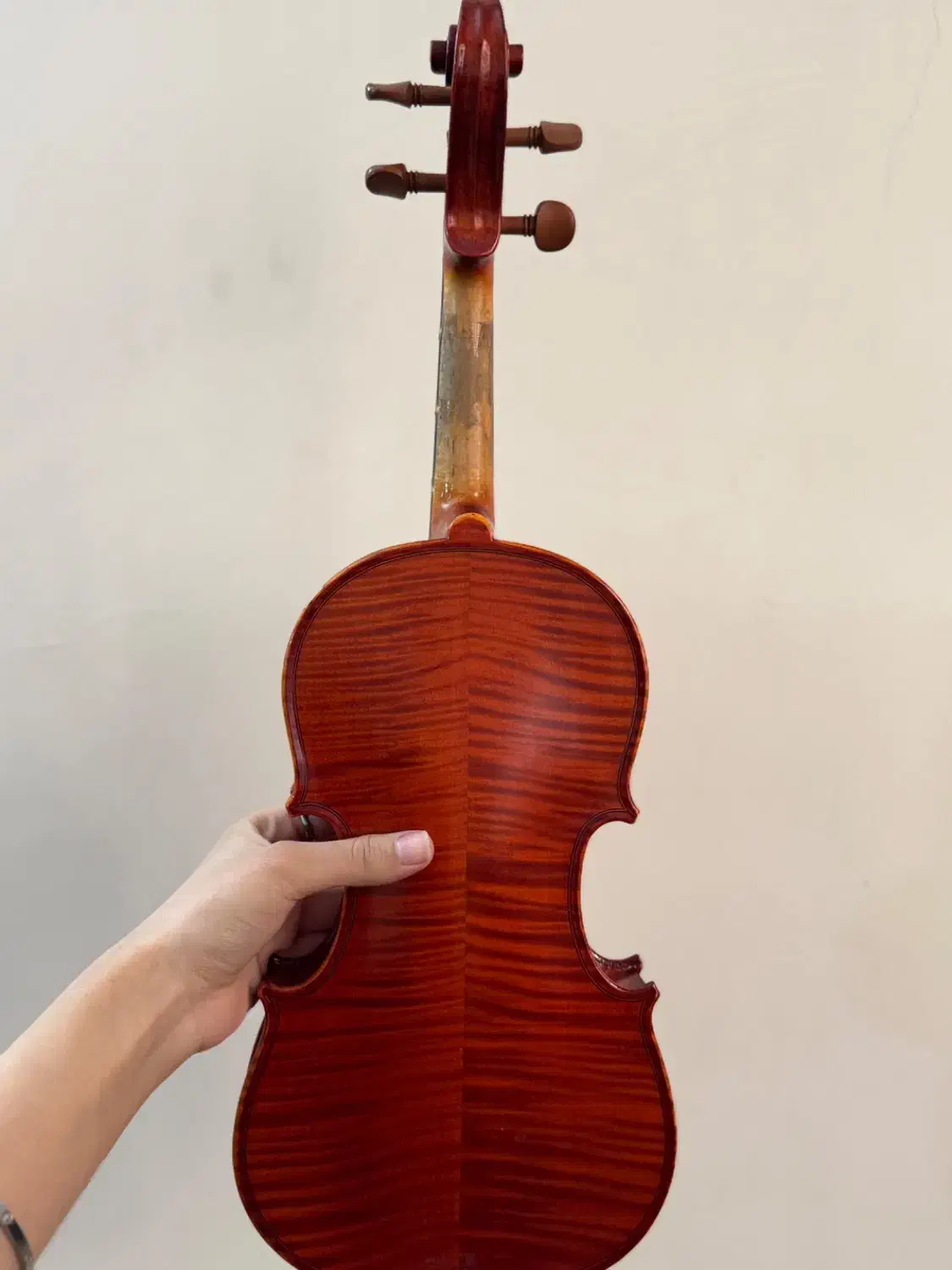 ویلن|ویولن|شهر ری, دولت‌آباد|دیوار