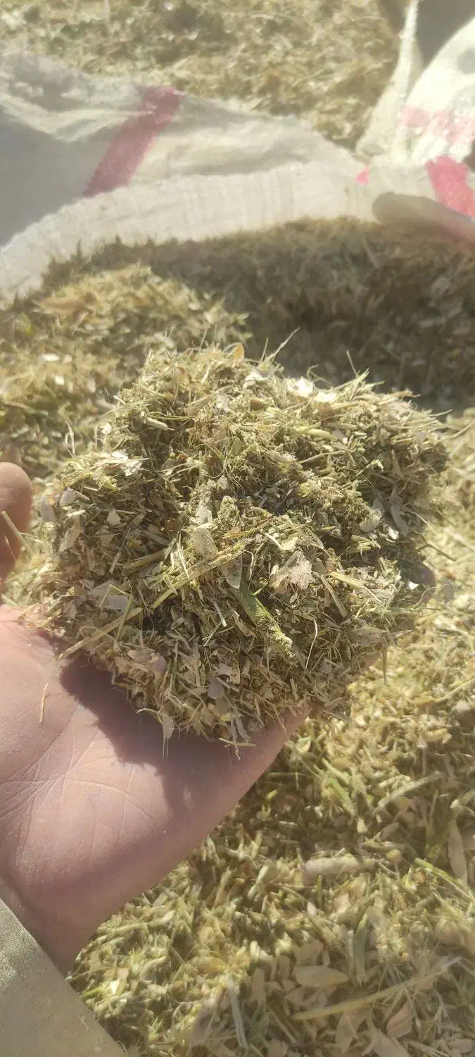 کاه گندم و لوبیا|لوازم جانبی حیوانات|دهگلان, |دیوار