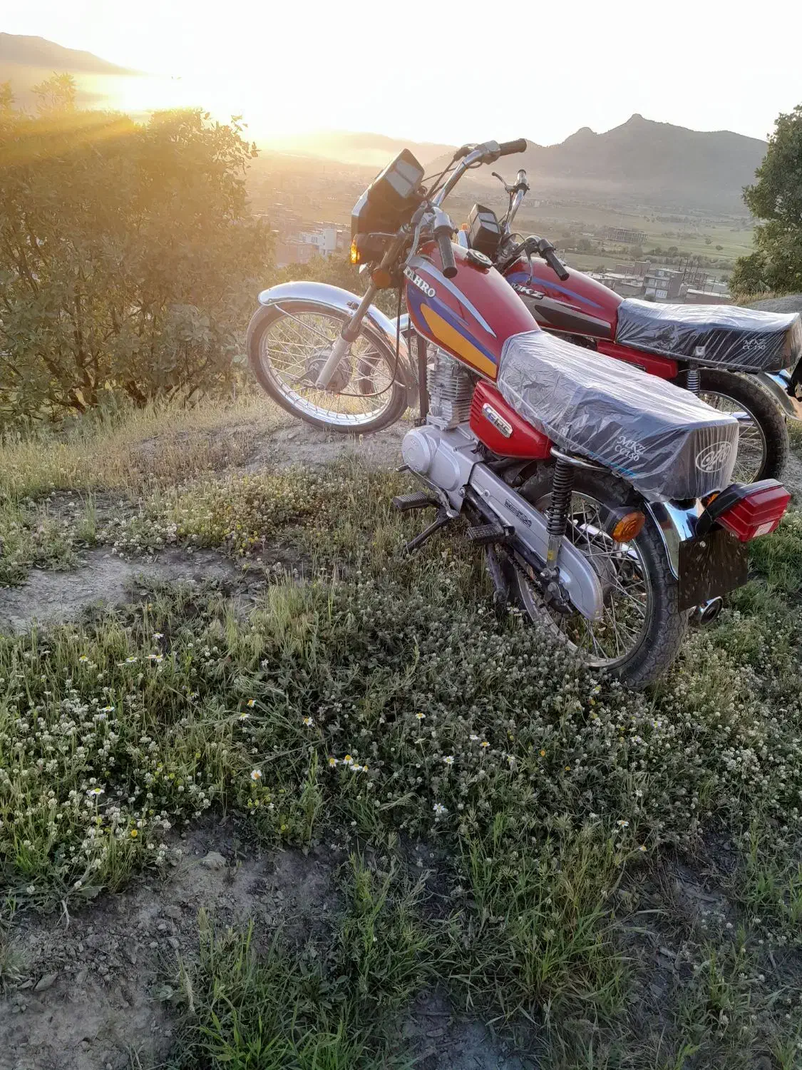 موتور سکلیت|موتورسیکلت|اورامان, |دیوار