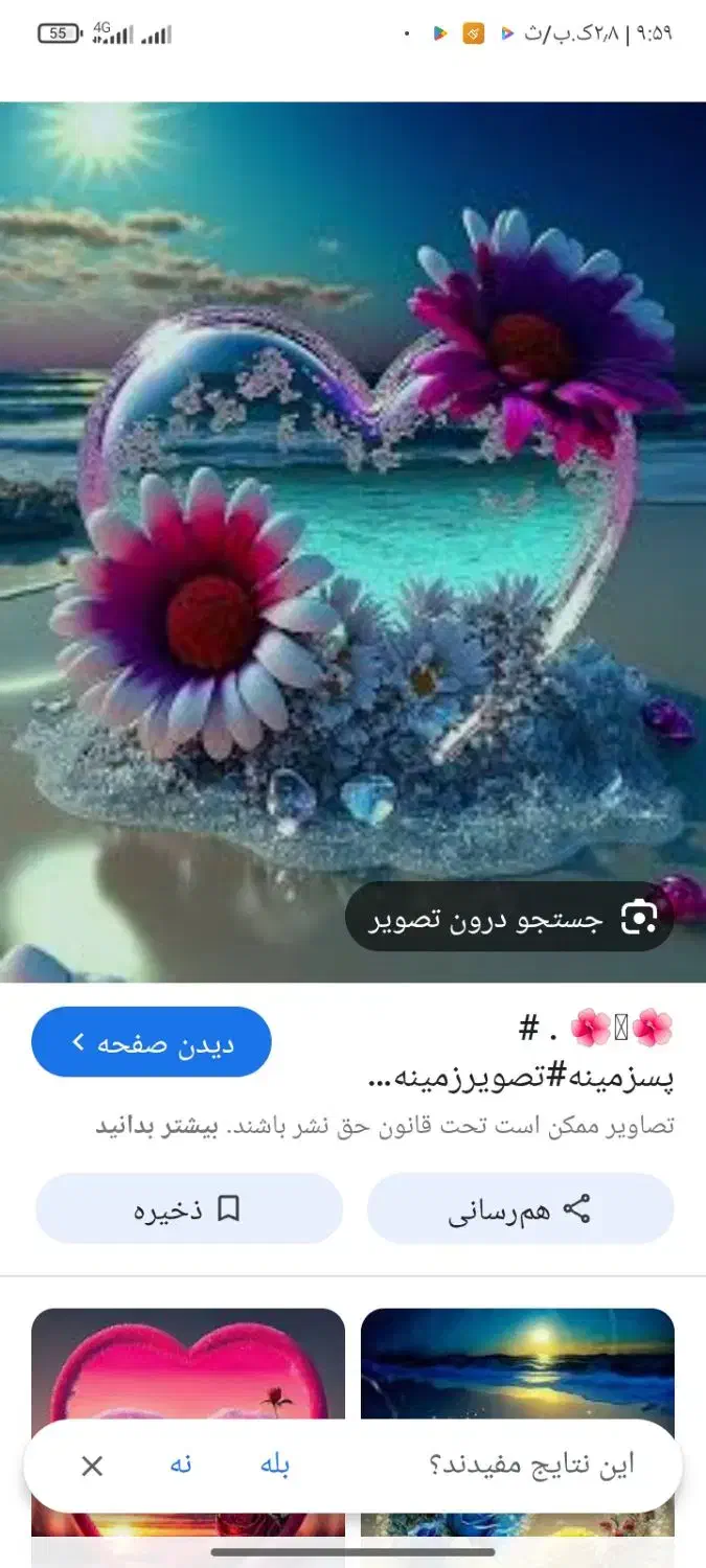 گل و گیاه و کارهای ساختمانی انجام با قیمت مناسب|گل و گیاه طبیعی|صابری, |دیوار