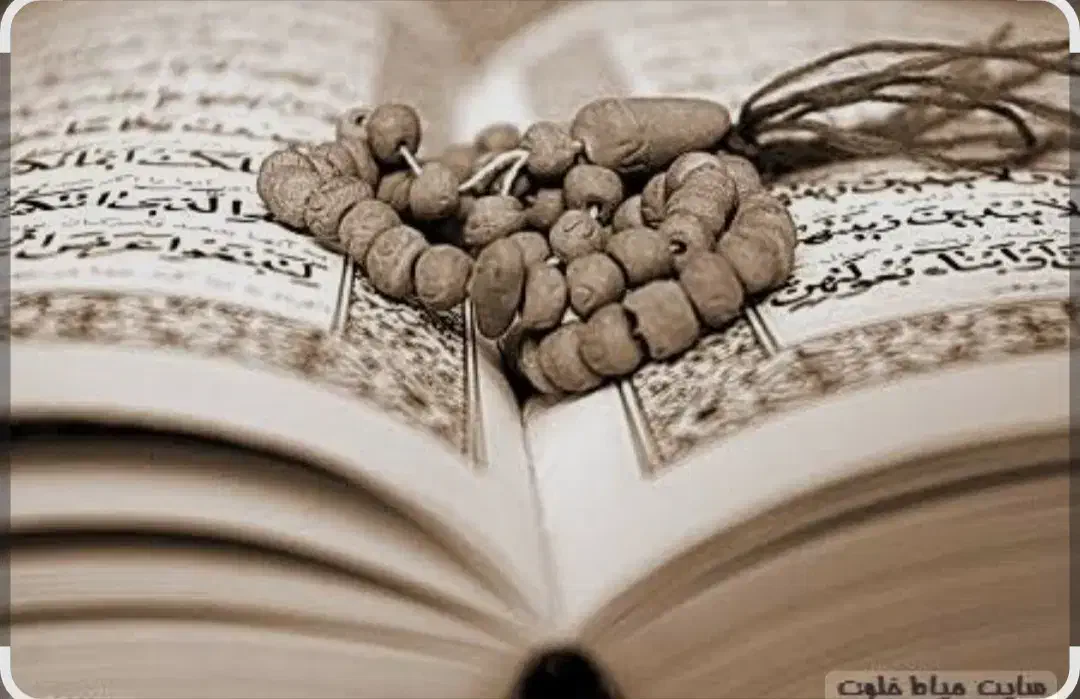 فال و طالع بینی|خدمات پذیرایی، مراسم|تهران, فلسطین (میدان انقلاب)|دیوار