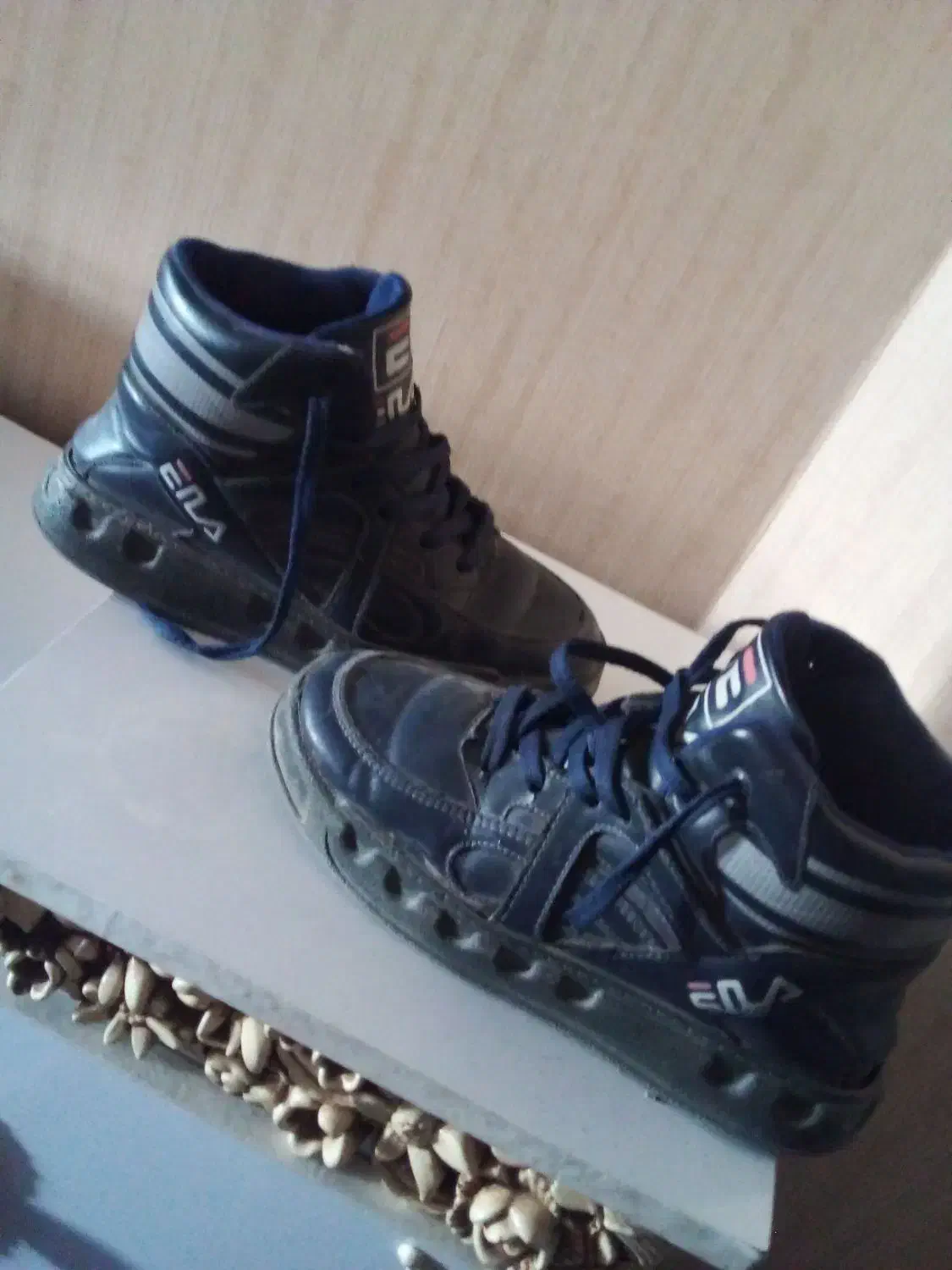 سالم|کیف، کفش، کمربند|تربت‌حیدریه, مظفریه|دیوار