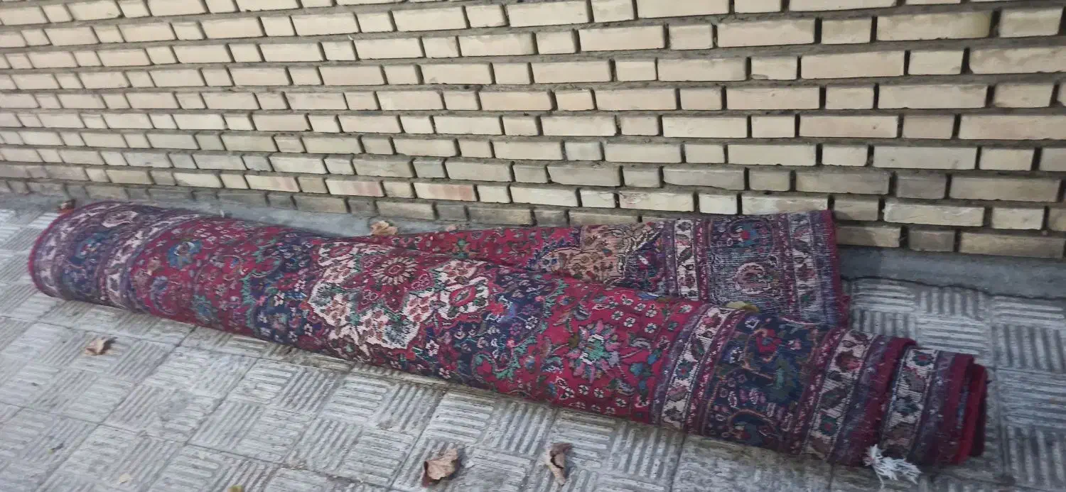 فرش دستبافت|فرش|سلماس, |دیوار