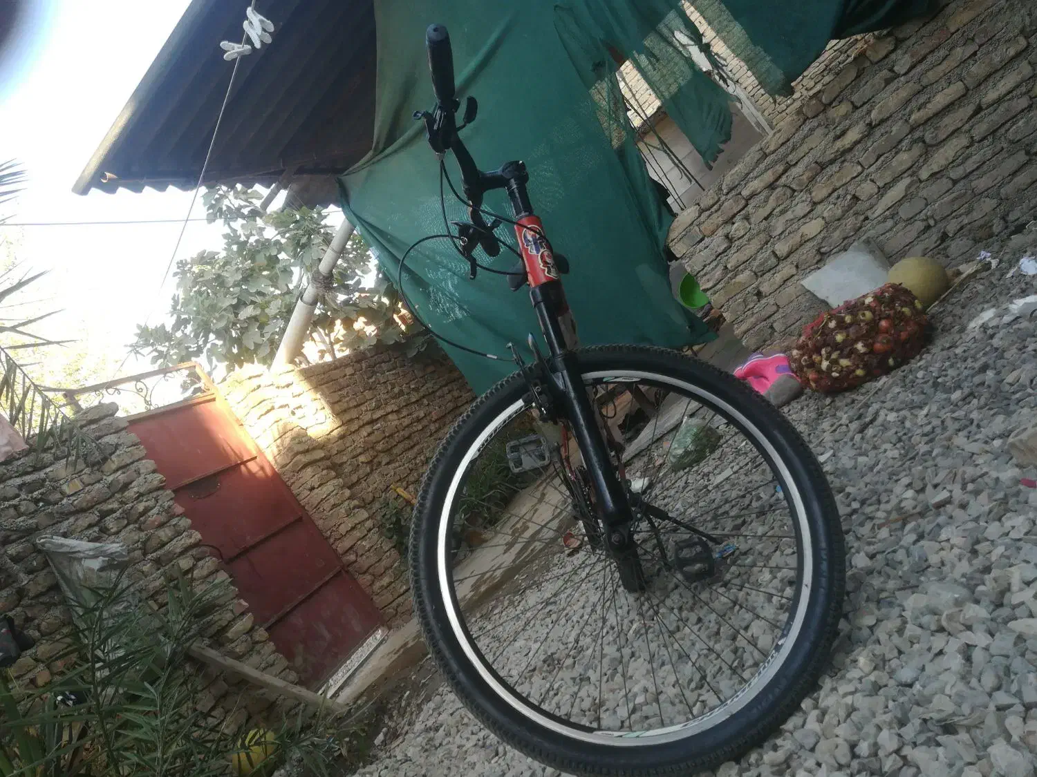 دوچرخه 26ویوا تنه آلمینیومی|دوچرخه، اسکیت، اسکوتر|گنبد کاووس, |دیوار