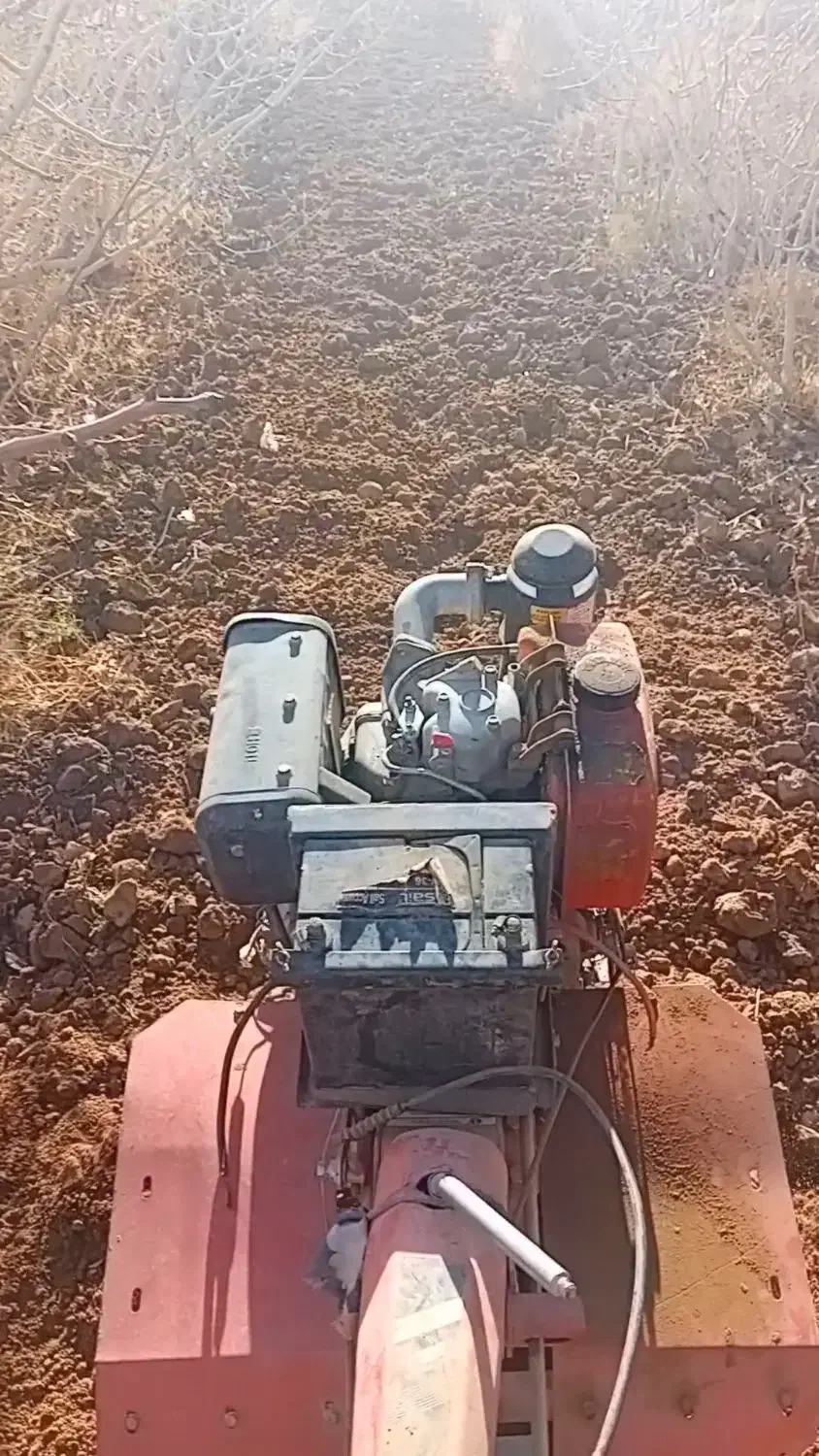 تیلردستـی|خدمات باغبانی و درختکاری|زرند, |دیوار