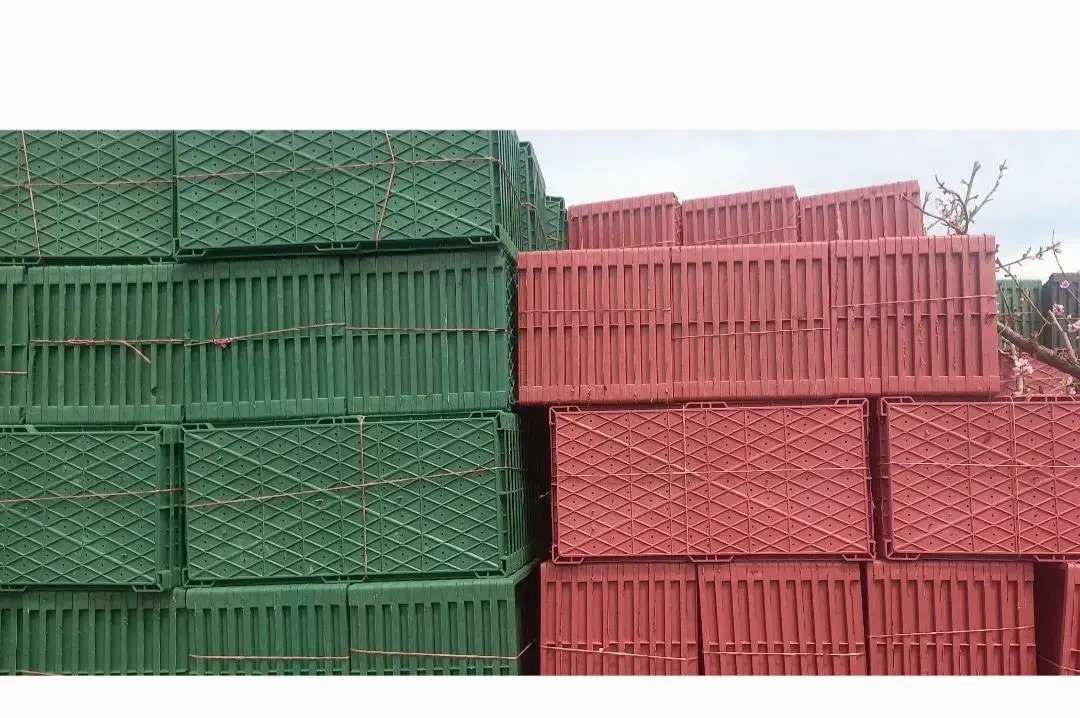 سینی نشا برنج|عمده‌فروشی|سنگر, |دیوار