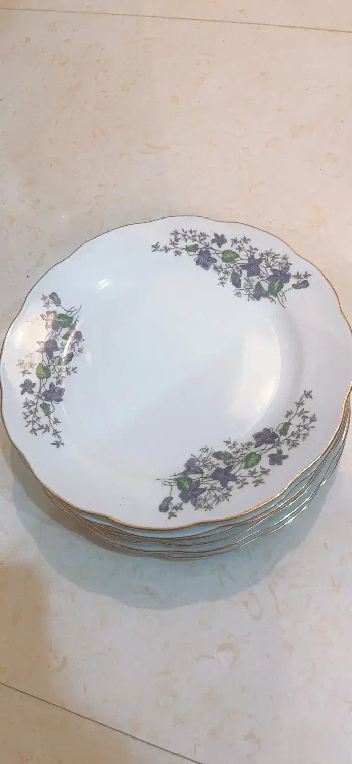 قدیمی عتیقه|کلکسیون اشیاء عتیقه|اهواز, گلستان|دیوار