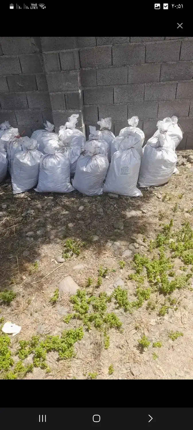 پهن گاو|لوازم جانبی حیوانات|تالش, هشتپر|دیوار