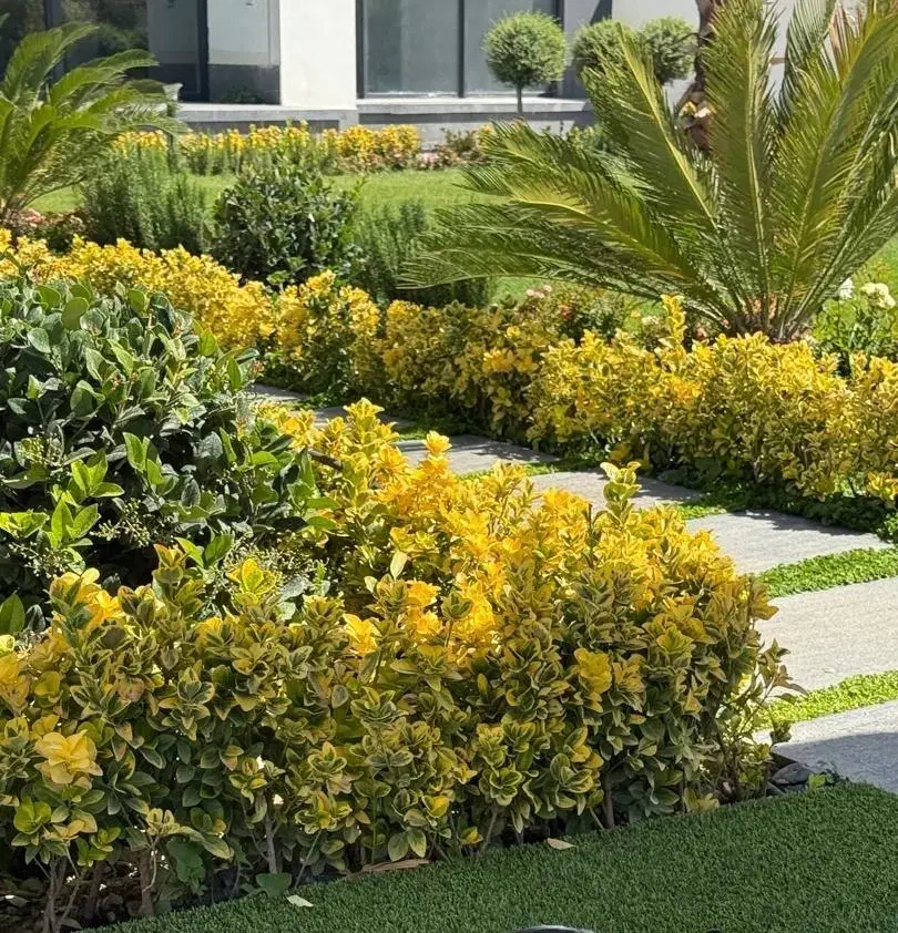 سرایدار ویلا|استخدام سرایداری و نظافت|رودهن, |دیوار