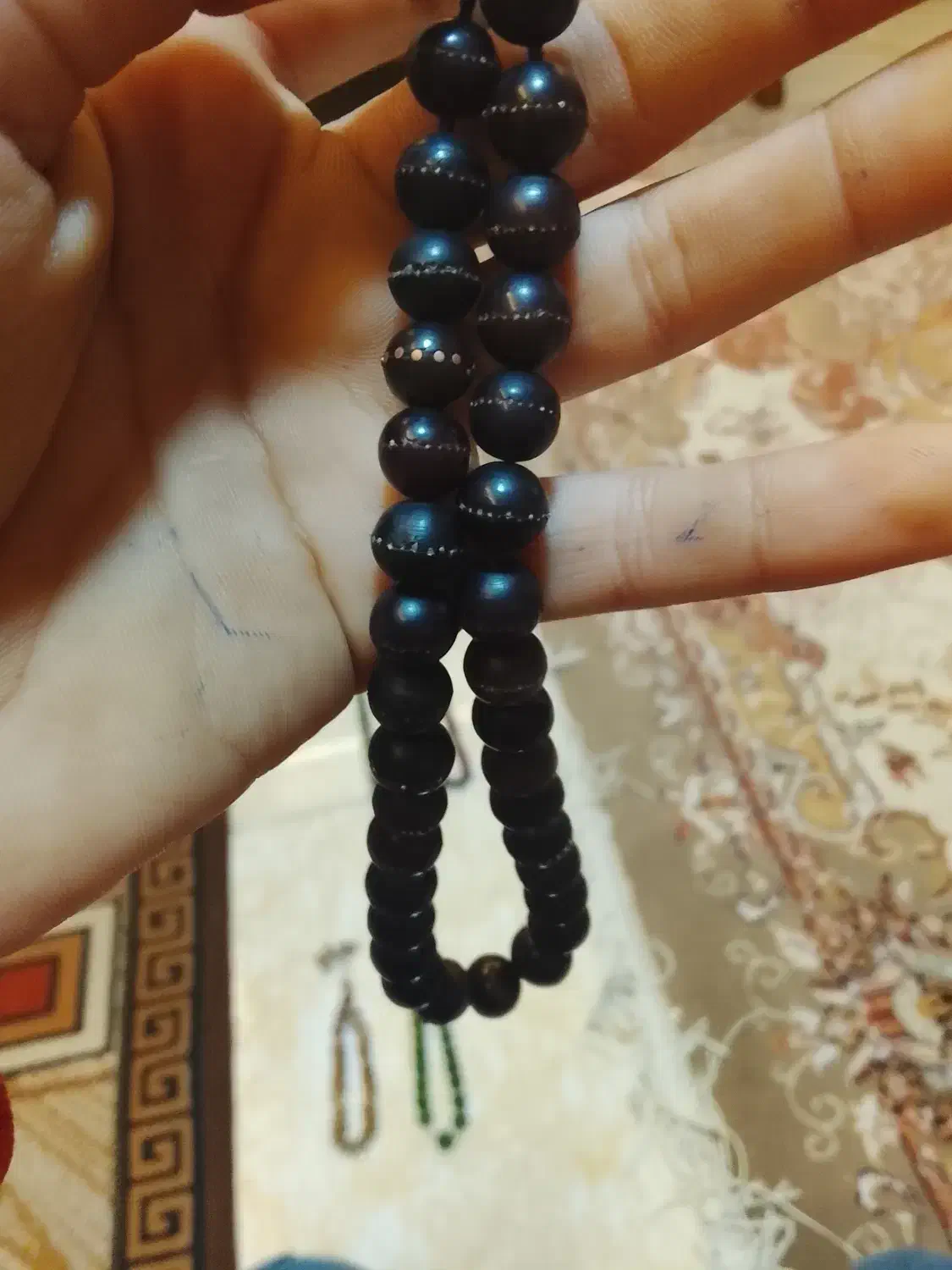 هسته خرما وحشی|بدلیجات|آزادشهر, |دیوار