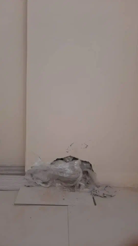 گچکاری ارزونتر از همه جا|خدمات پیشه و مهارت|قدس, شهر‌قدس|دیوار