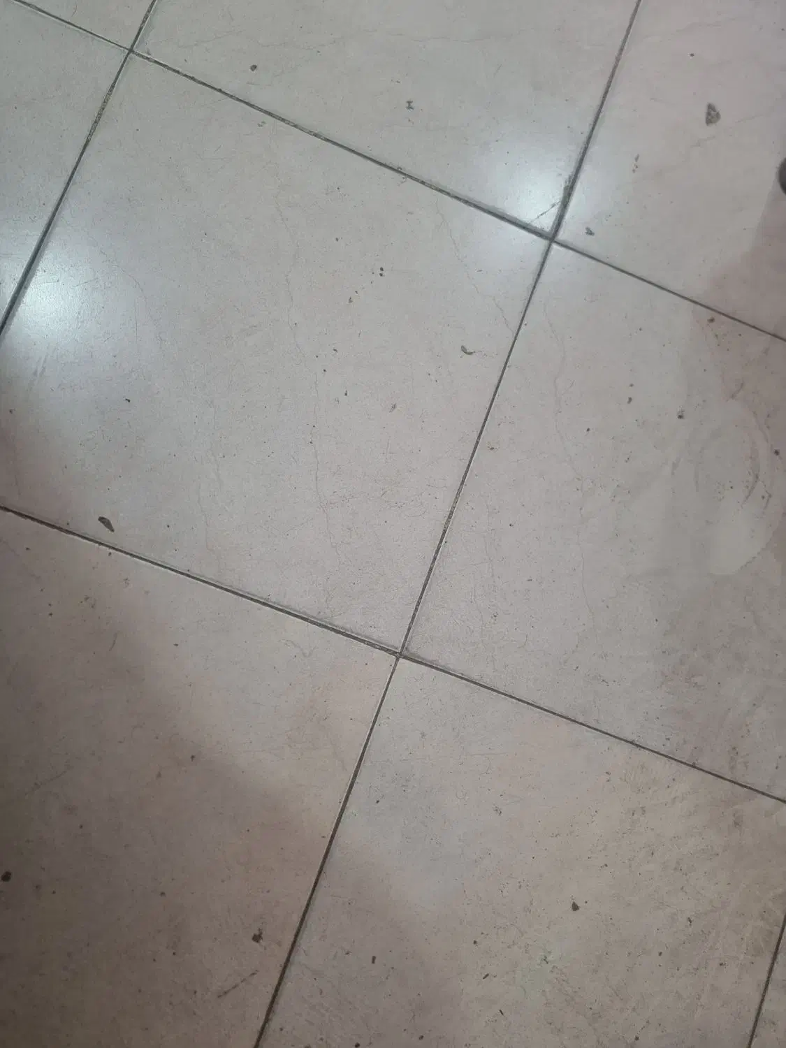 اجاره گلخانه برای نشا کاری|اجارهٔ دفتر صنعتی، کشاورزی، تجاری|محمدشهر, کوی بهار|دیوار