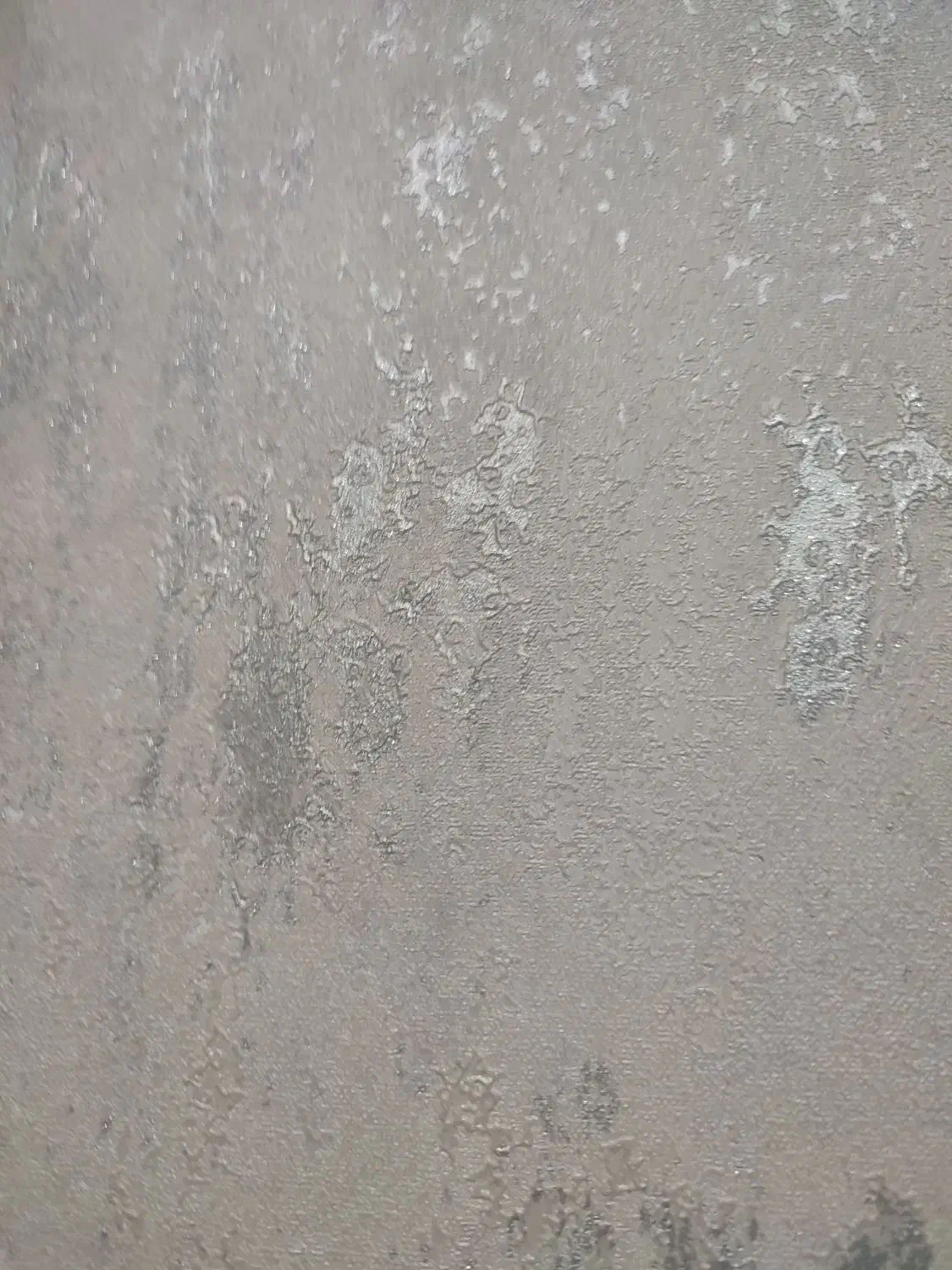 اجاره طبقه دوم ویلایی|اجارهٔ خانه و ویلا|شیراز, شهرک مفتح|دیوار