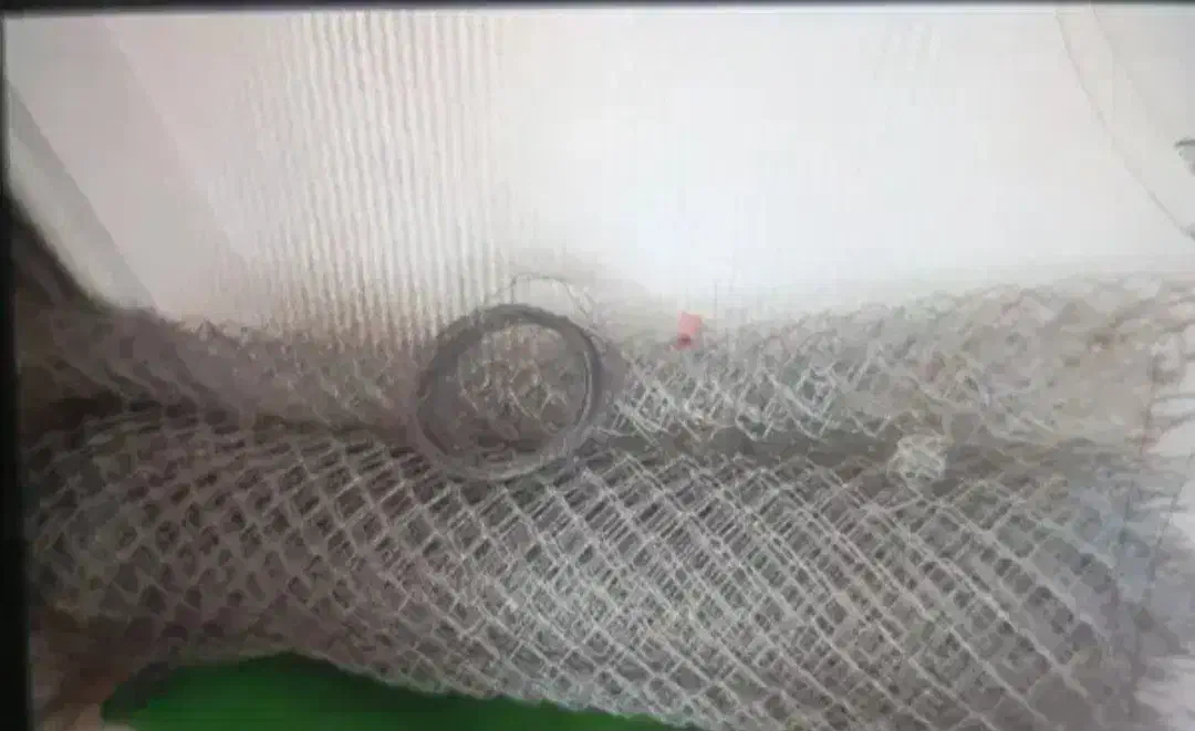 فنس|ابزارآلات|سنندج, |دیوار