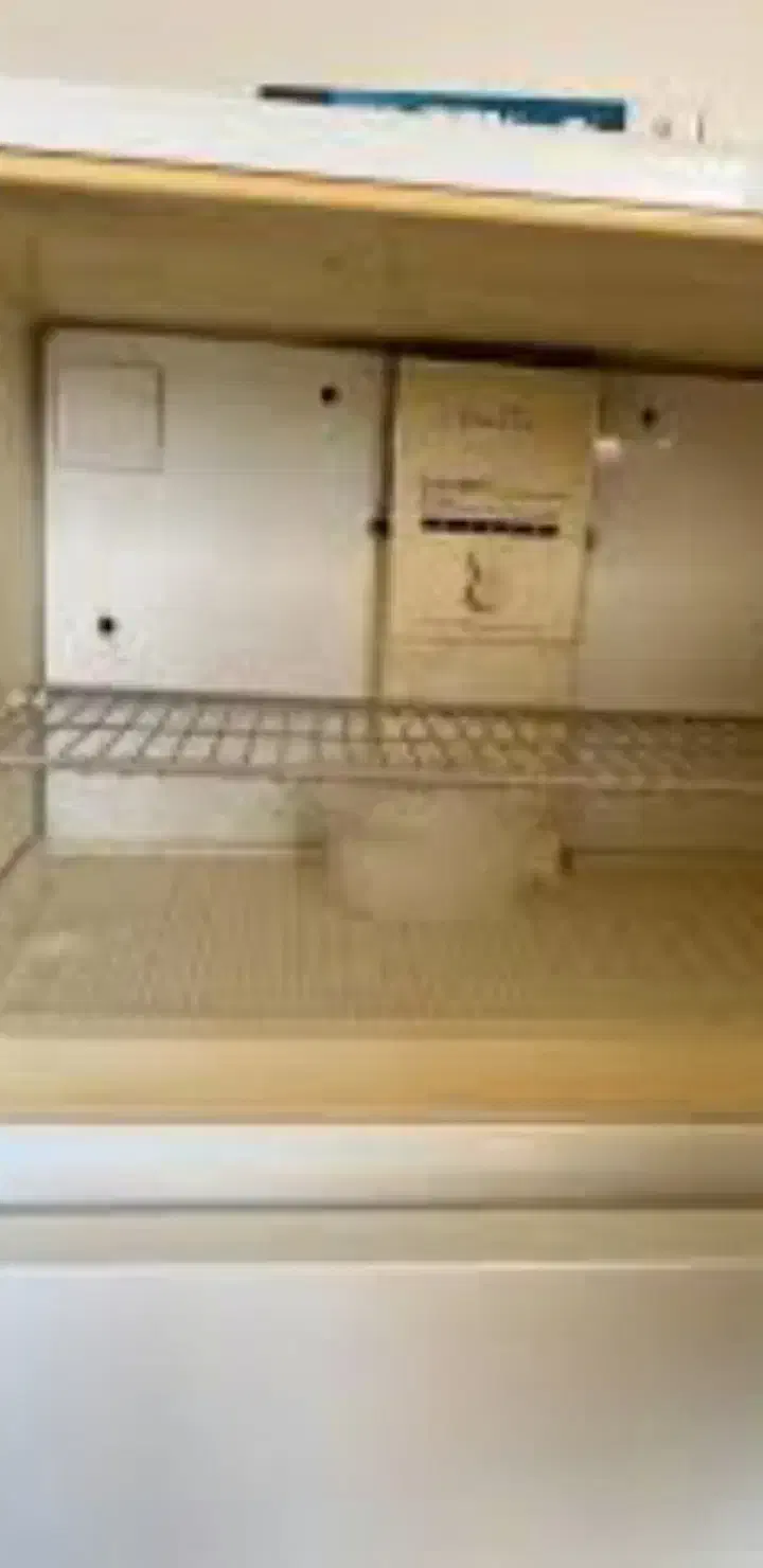 یخچال گیبسون کاملا تمیز|یخچال و فریزر|اهواز, پردیس|دیوار