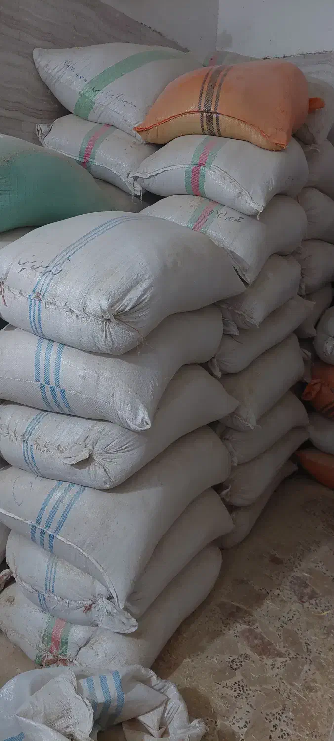 فل برنج آسیاب شده|لوازم جانبی حیوانات|آستانه اشرفیه, |دیوار