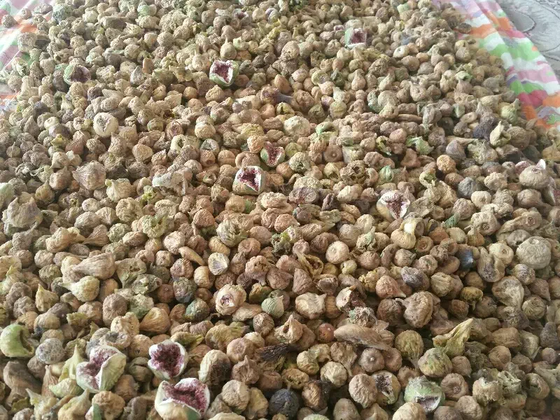 سلام فروش انجیر تازه بومی و خشک تازه|خوردنی و آشامیدنی|کوهپایه, |دیوار