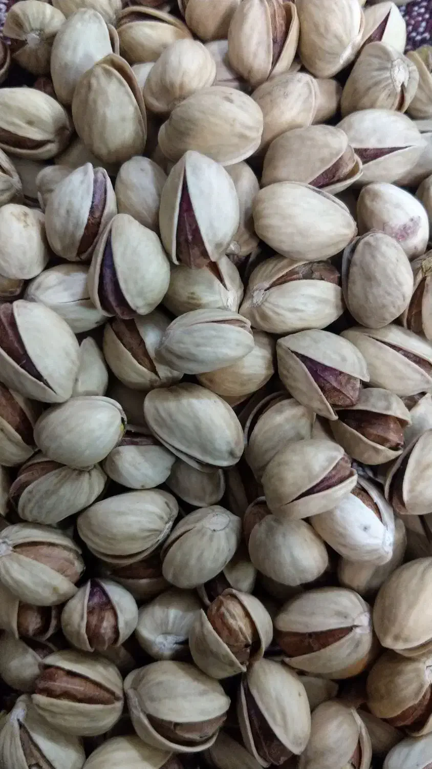 پسته رفسنجان|خوردنی و آشامیدنی|کرمان, |دیوار