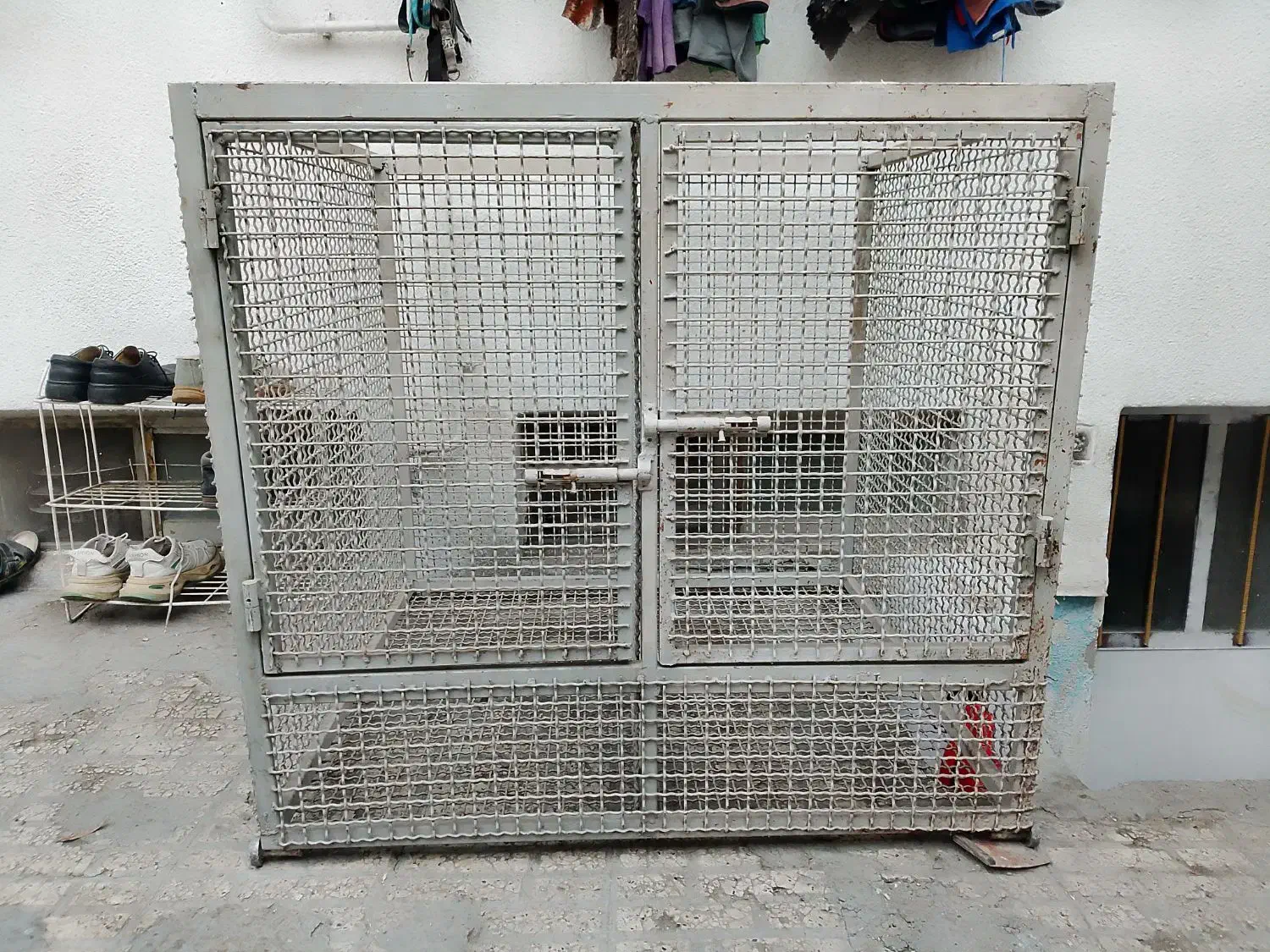 قفس فنسی محکم واستاندارد|لوازم جانبی حیوانات|گرگان, |دیوار