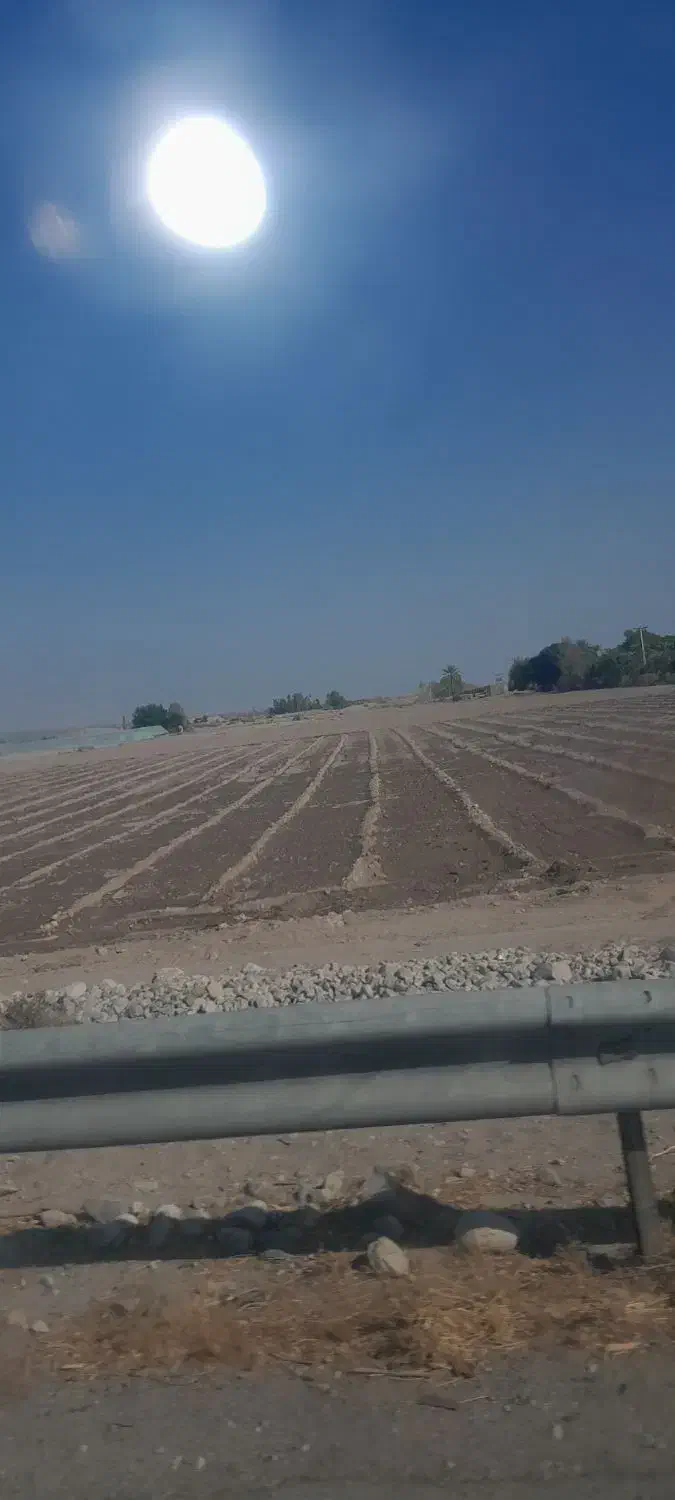 یک هکتار زمینی کشاورزی دوساری جنب جاده اصلی|اجارهٔ دفتر صنعتی، کشاورزی، تجاری|عنبرآباد, |دیوار