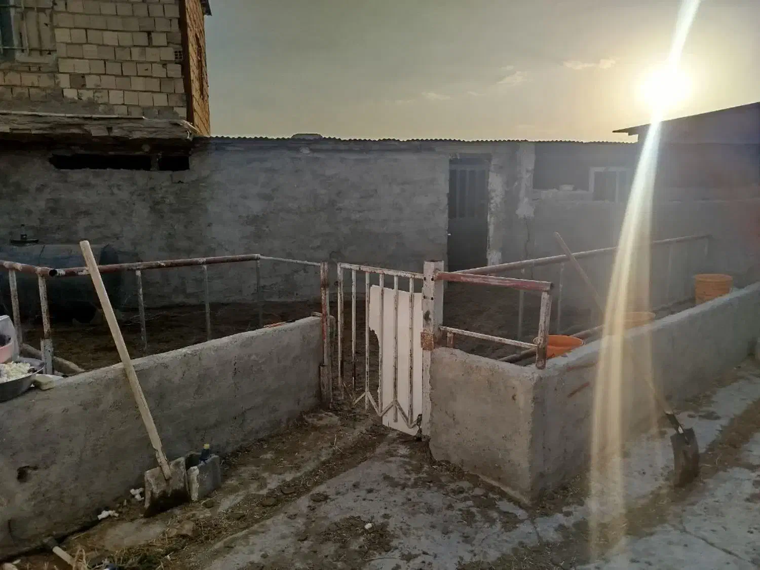 دامداری سالن سوله|فروش دفتر صنعتی، کشاورزی، تجاری|چهارباغ, |دیوار