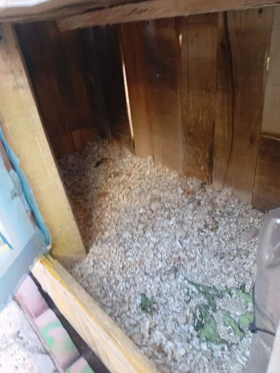 قفس  مناسب سگ . گربه . مرغ . بلدر چین .|لوازم جانبی حیوانات|خوی, |دیوار