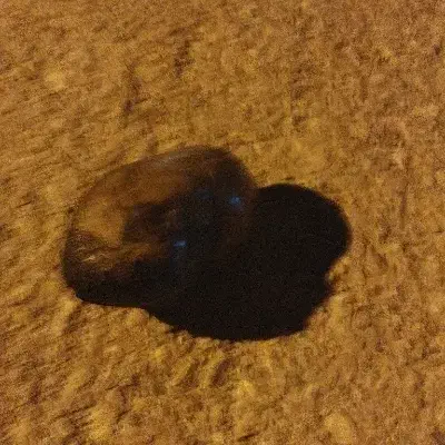 شهاب سنگ|کلکسیون اشیاء عتیقه|زابل, |دیوار