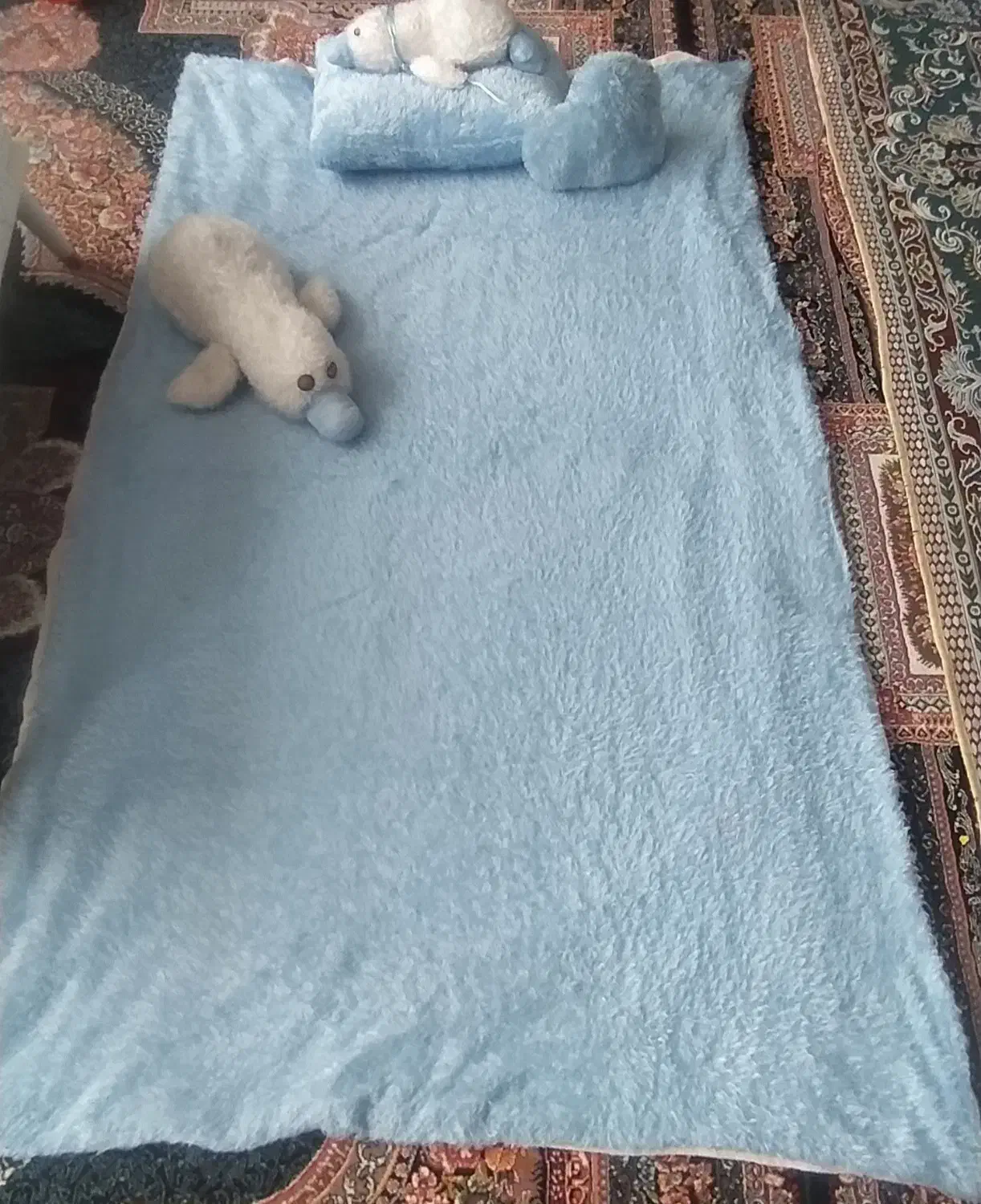 ممنون از تون|کفش و لباس بچه|شاهینشهر, گرگاب|دیوار