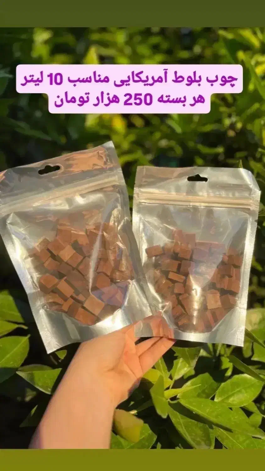 چوب بلوطا|خوردنی و آشامیدنی|لاهیجان, شهید آوینی|دیوار