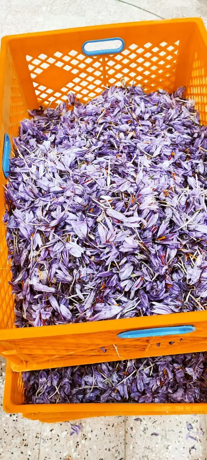 زعفران برتر قاین|حراج|مهاباد (اصفهان), |دیوار